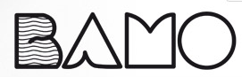 BAMO IER logo