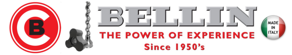 BELLINSPA logo