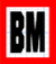 BM(BalkanMotor) logo
