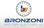 BRONZONI logo