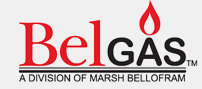 BelGAS logo