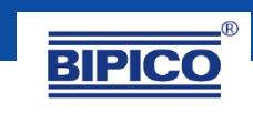 Bipico logo