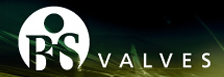 Bisvalves logo