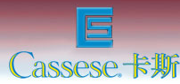 CASSESE logo