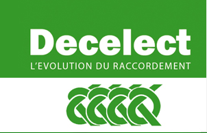 DecelectForgos logo