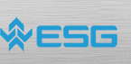 ESG USA logo