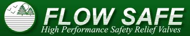 FLOW SAFE logo