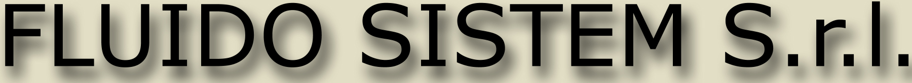 FLUIDO SISTEM logo