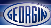 GEORGIN logo