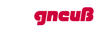 Gneuss logo