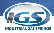 IGS logo