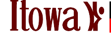 ITOWA logo