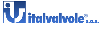 Italvalvole logo