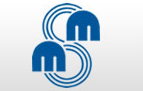 MSM logo