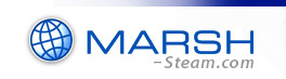 Marsh Steam logo