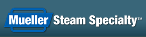 Mueller Steam logo