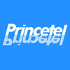 Princetel logo