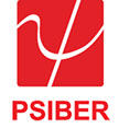 Psiber Data Systems logo