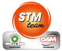 STM logo