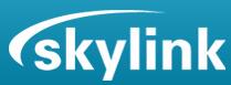 Skylink logo