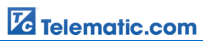 Telematic logo