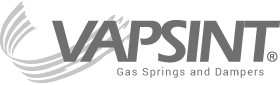 VAPSINT logo