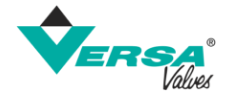 VERSA logo
