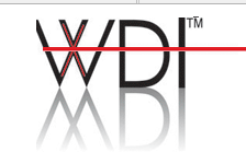 WDI Wise Device logo